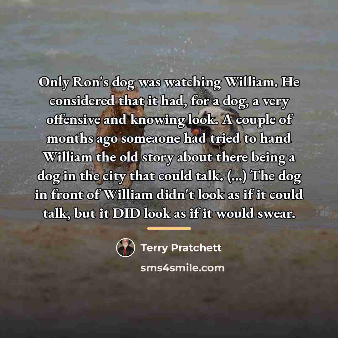 “Only Ron's dog was watching William. He considered that it…” quote by Terry Pratchett