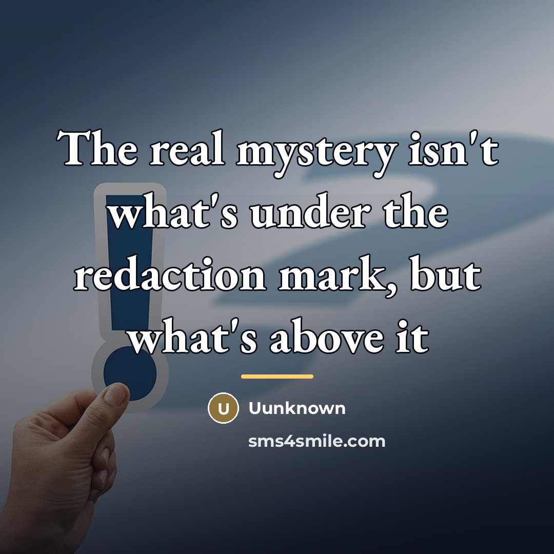 “The real mystery isn't what's under the redaction mark, but…” quote by Anonymous