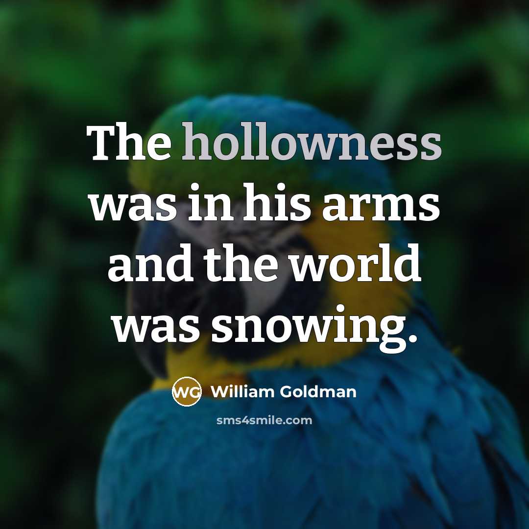 “The hollowness was in his arms and the world was…” quote by William Goldman