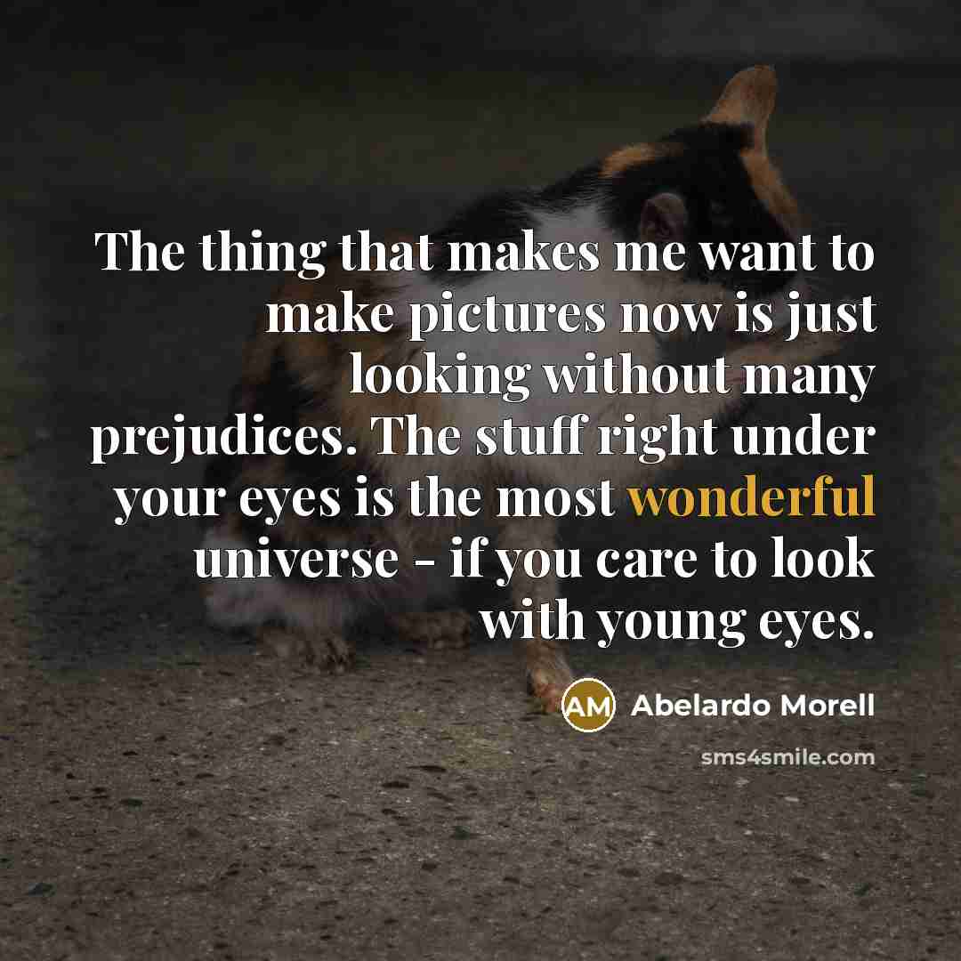 “The thing that makes me want to make pictures now…” quote by Abelardo Morell