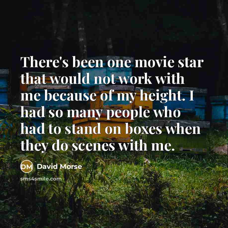 “There's been one movie star that would not work with…” quote by David Morse