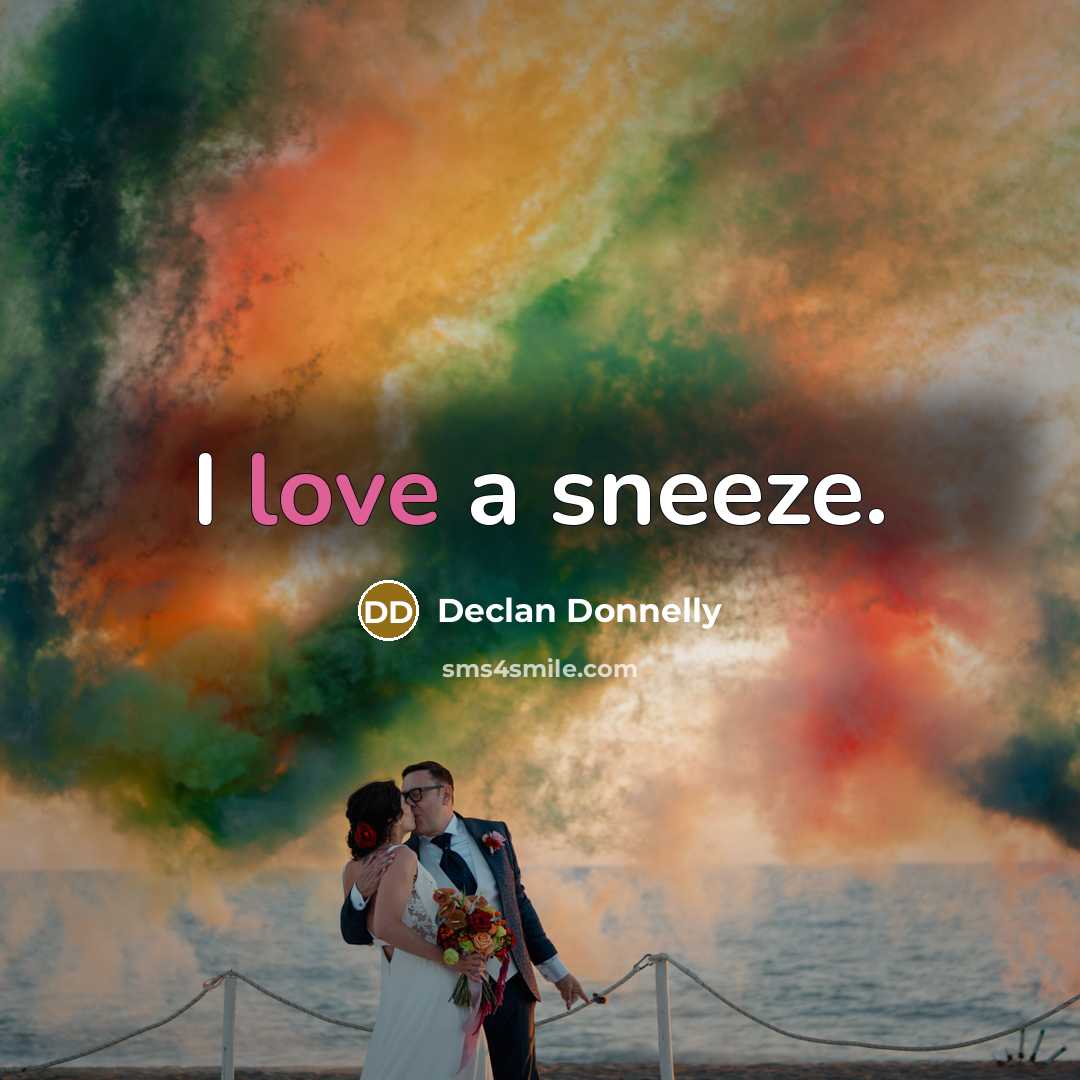 “I love a sneeze.…” quote by Declan Donnelly
