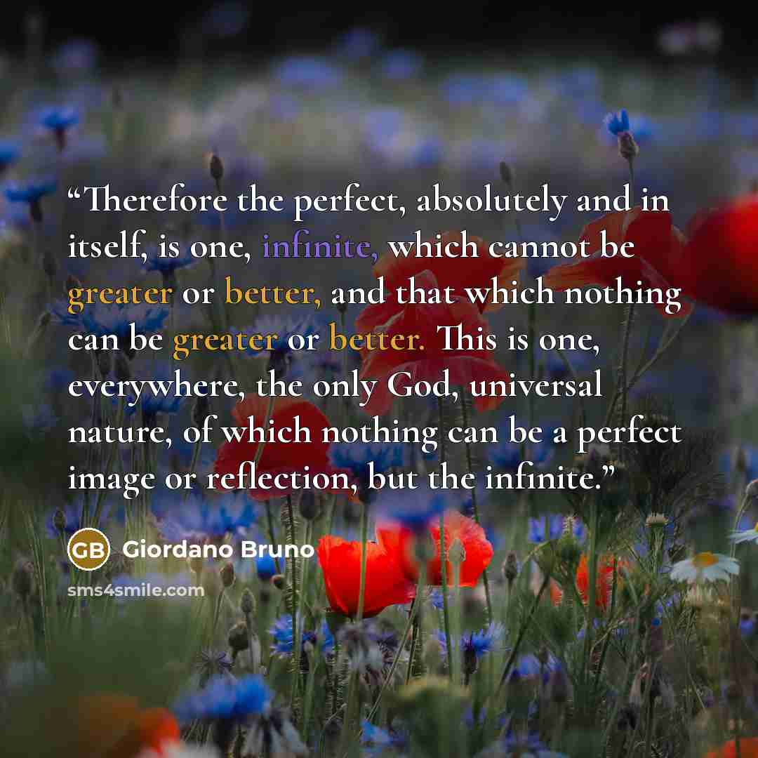 “Therefore the perfect, absolutely and in itself, is one, infinite, which cannot be greater or better, and that which nothing can be greater or better. This is one, everywhere, the only God, universal nature, of which nothing can be a perfect image or reflection, but the infinite.” quote by Giordano Bruno