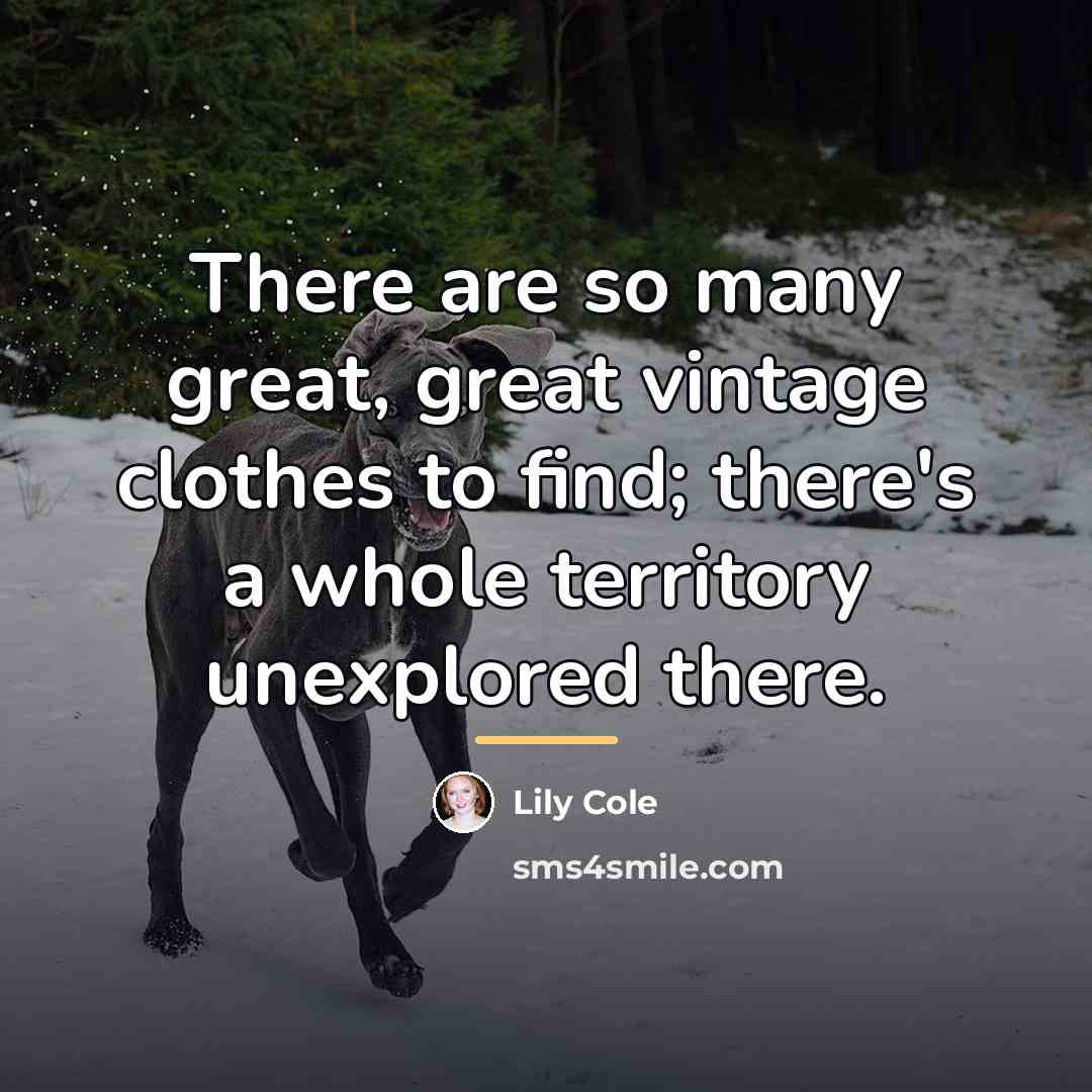 “There are so many great, great vintage clothes to find;…” quote by Lily Cole