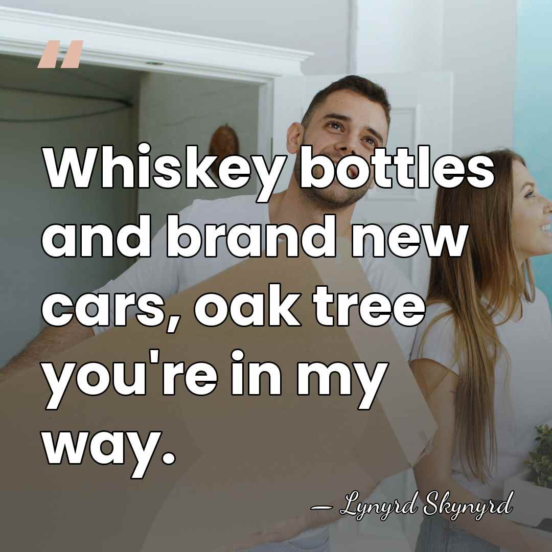 Whiskey bottles and brand new cars, oak tree you're in my way. - Lynyrd Skynyrd