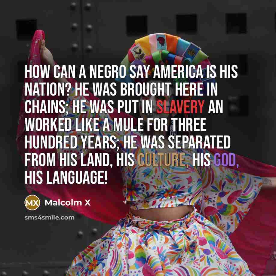 “How can a Negro say America is his nation? He…” quote by Malcolm X