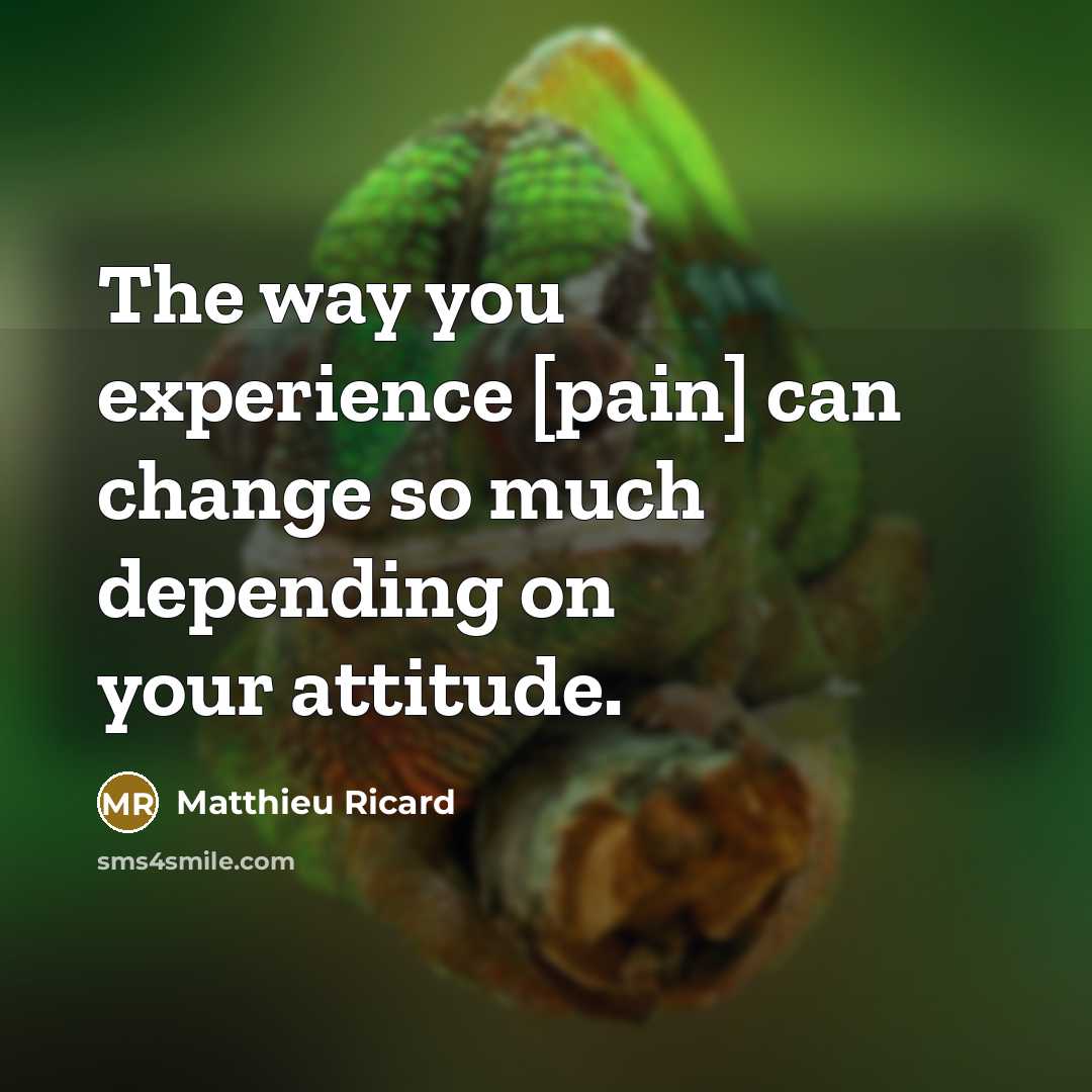 “The way you experience [pain] can change so much depending…” quote by Matthieu Ricard