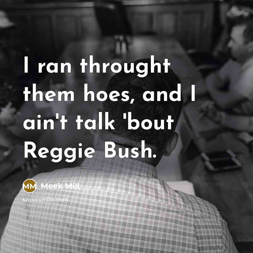 “I ran throught them hoes, and I ain't talk 'bout…” quote by Meek Mill