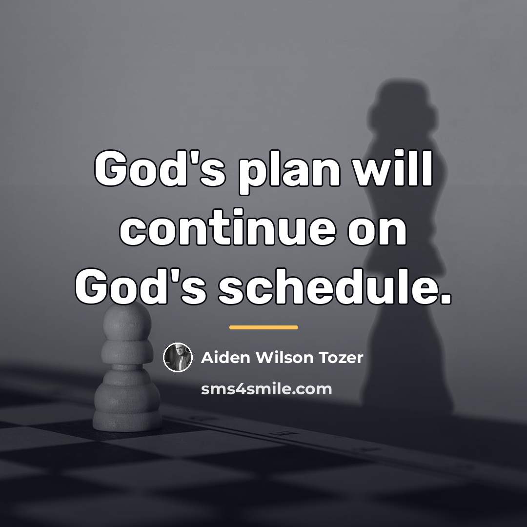 “God's plan will continue on God's schedule.…” quote by Aiden Wilson Tozer