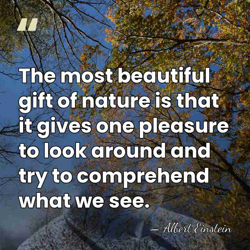The most beautiful gift of nature is that it gives one pleasure&hellip; - Albert Einstein