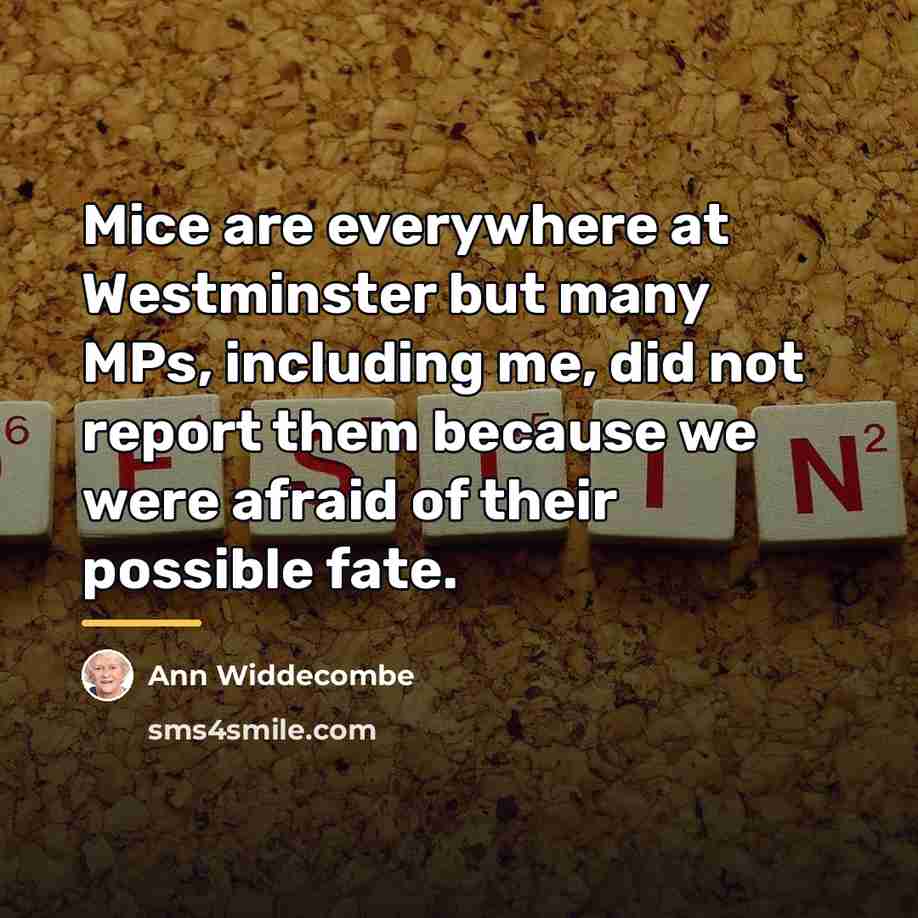 “Mice are everywhere at Westminster but many MPs, including me,…” quote by Ann Widdecombe