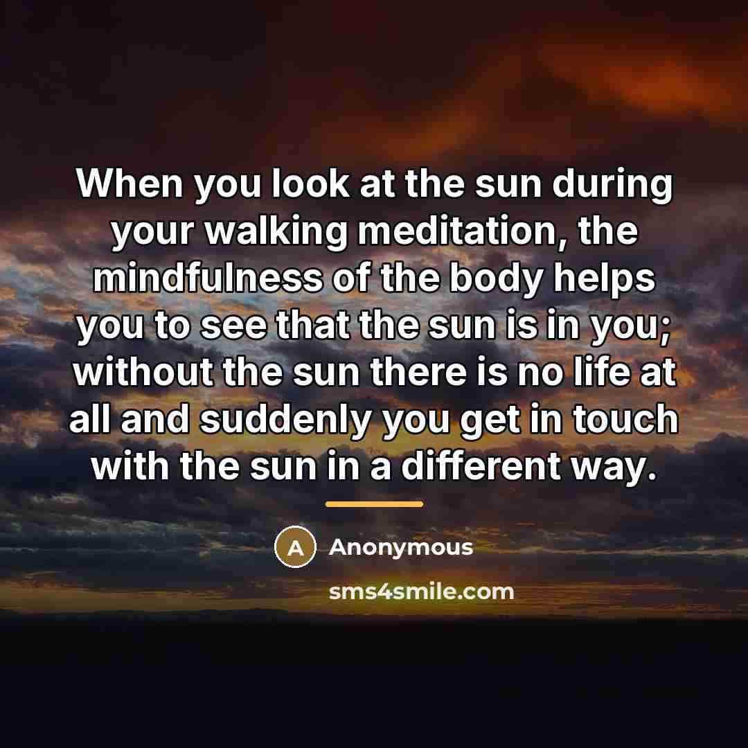 “When you look at the sun during your walking meditation,…” quote by Anonymous