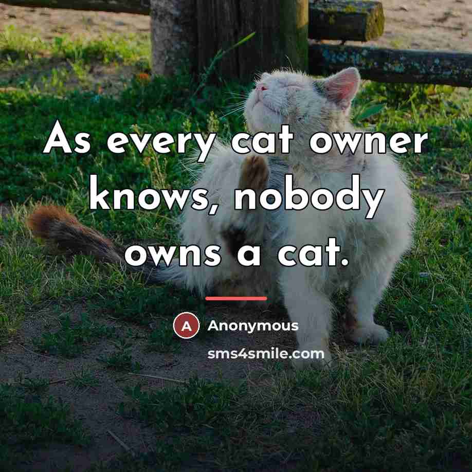 “As every cat owner knows, nobody owns a cat.…” quote by Ellen Perry Berkeley