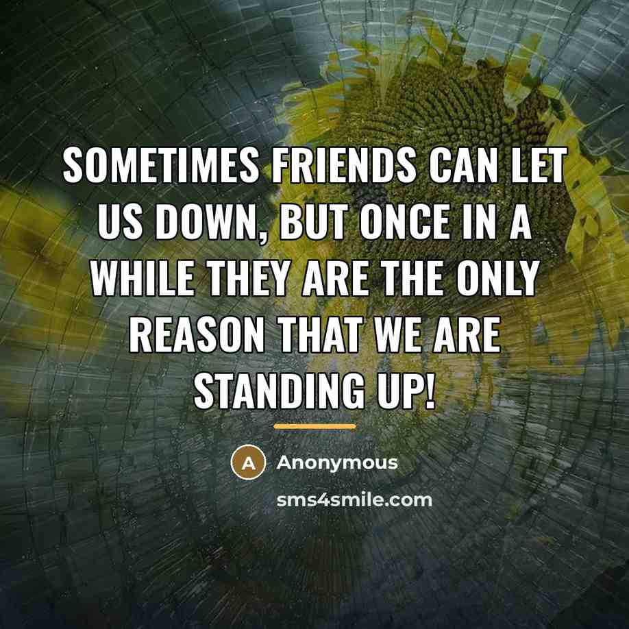 “Sometimes friends can let us down, but once in a…” quote by Anonymous