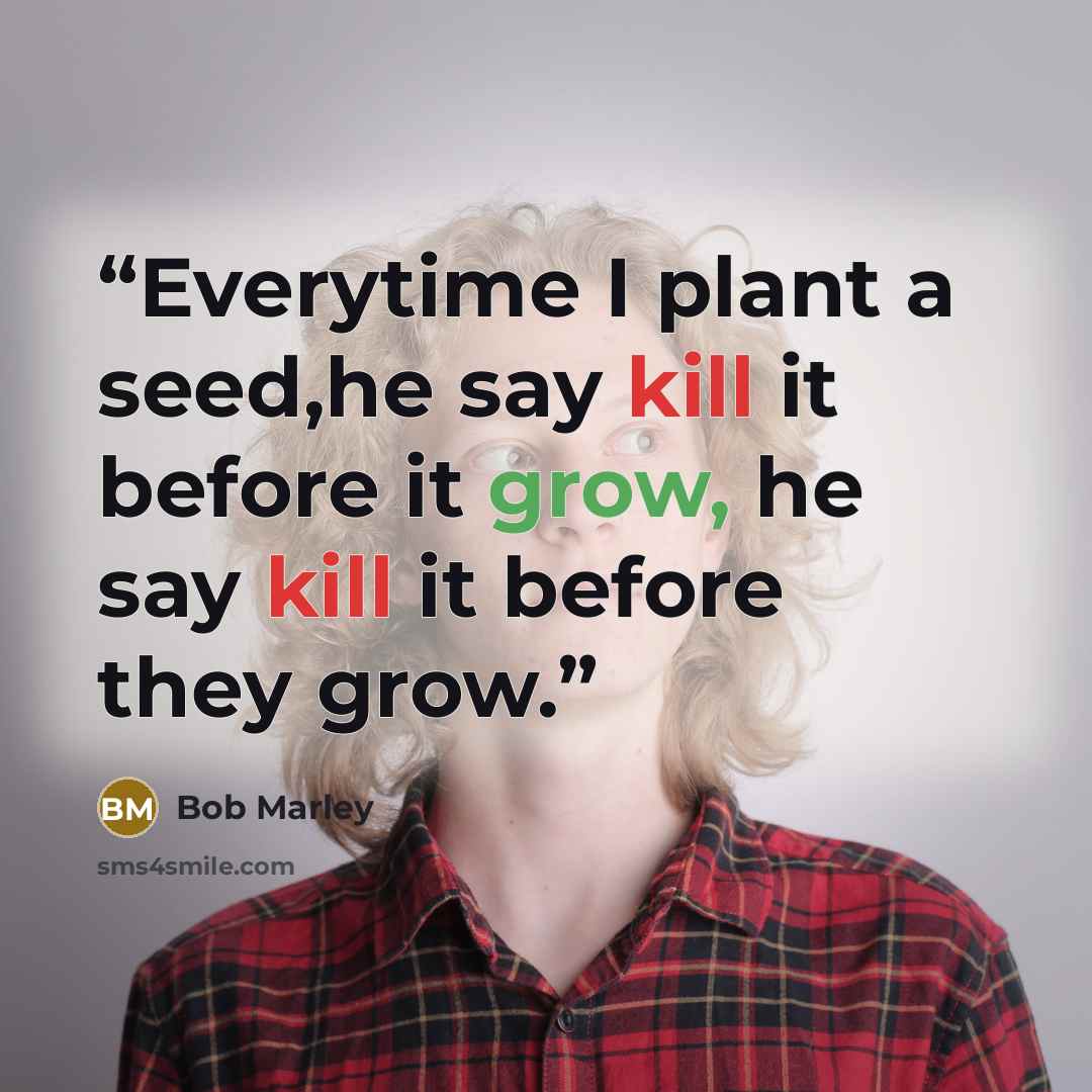 “Everytime I plant a seed,he say kill it before it grow, he say kill it before they grow.” quote by Bob Marley