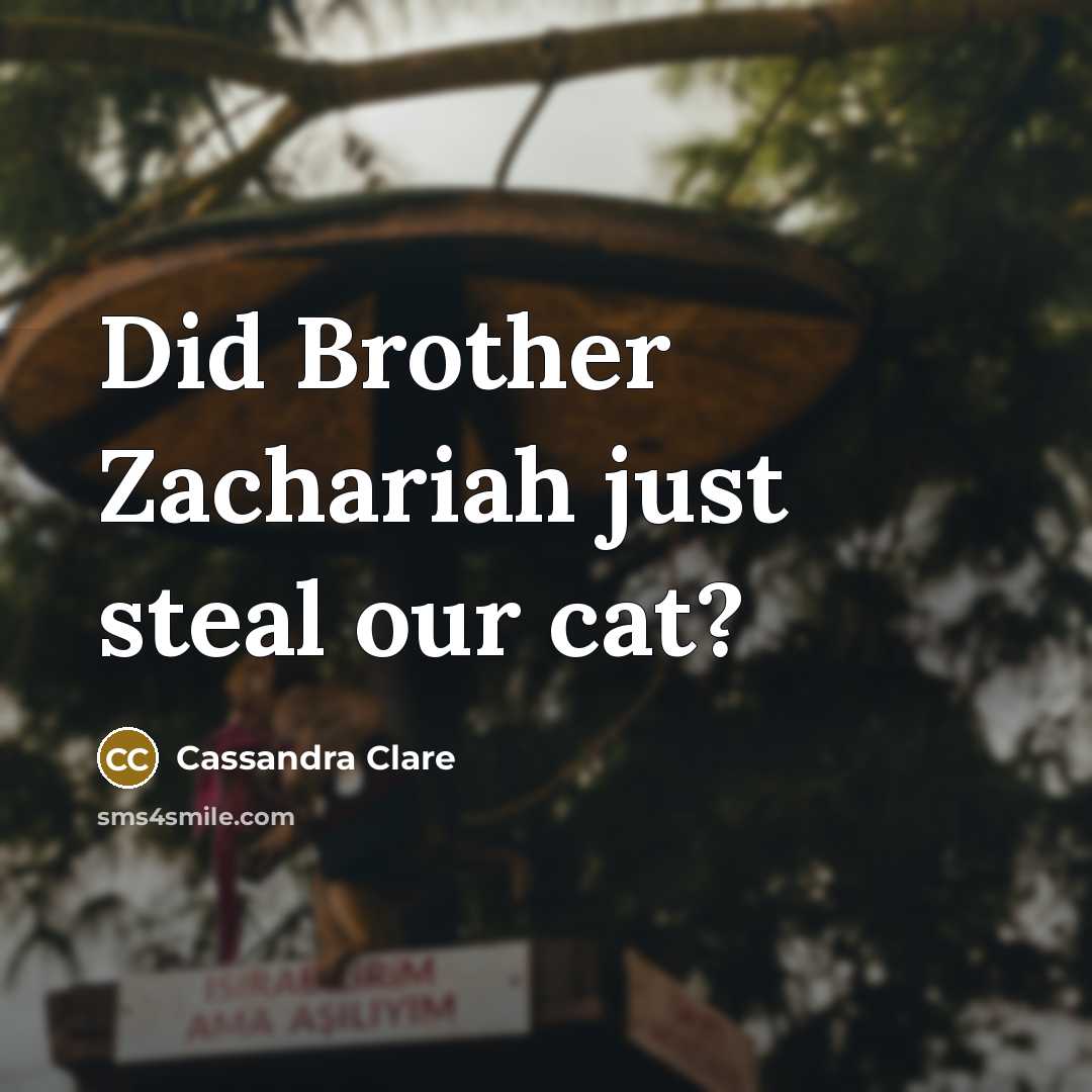 “Did Brother Zachariah just steal our cat?…” quote by Cassandra Clare