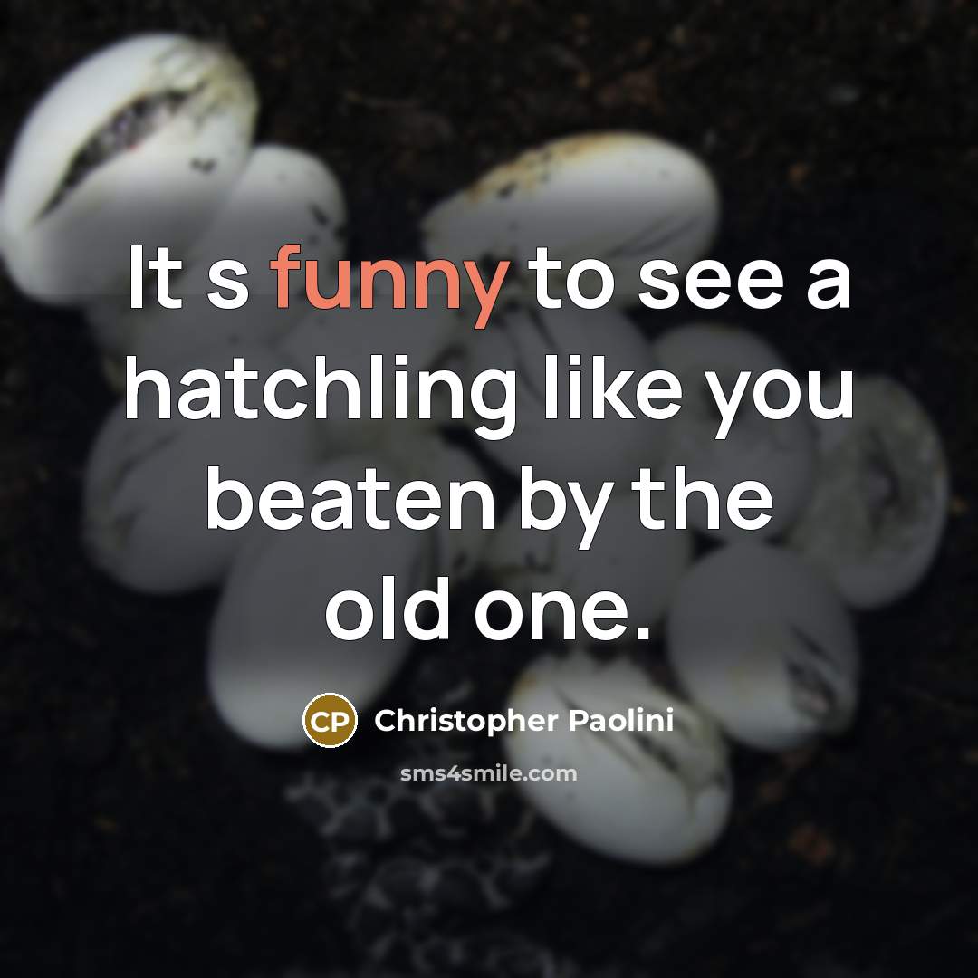 “It s funny to see a hatchling like you beaten by the old one.” quote by Christopher Paolini