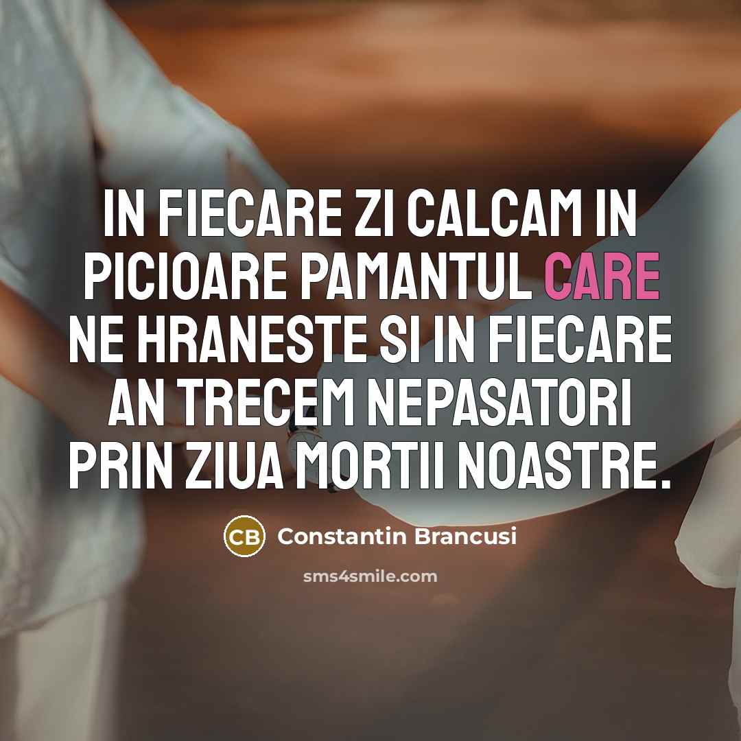 “In fiecare zi calcam in picioare pamantul care ne hraneste si in fiecare an trecem nepasatori prin ziua mortii noastre.” quote by Constantin Brancusi