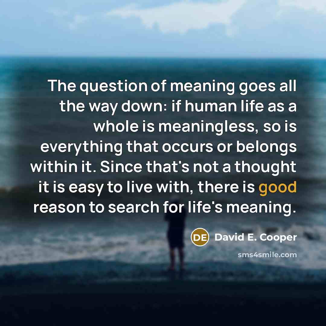 “The question of meaning goes all the way down: if…” quote by David E. Cooper