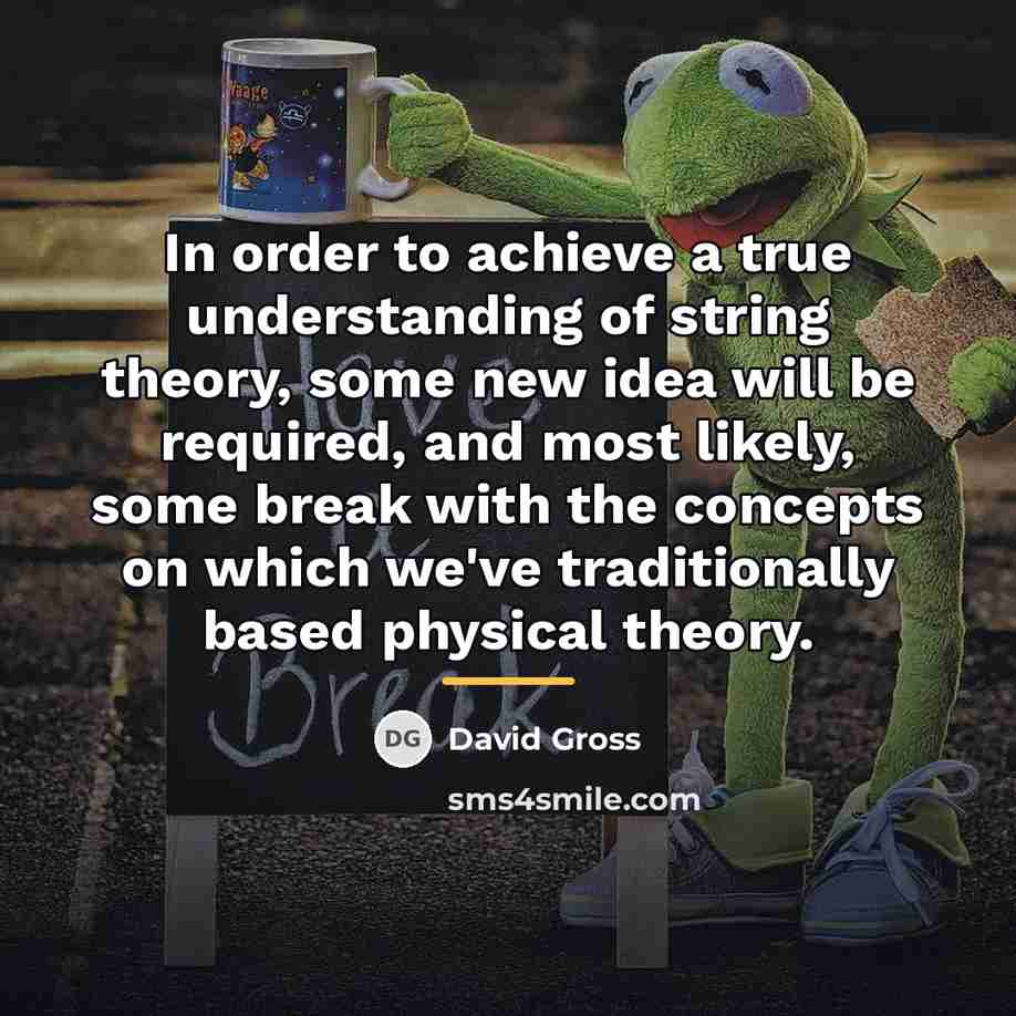 “In order to achieve a true understanding of string theory,…” quote by David Gross
