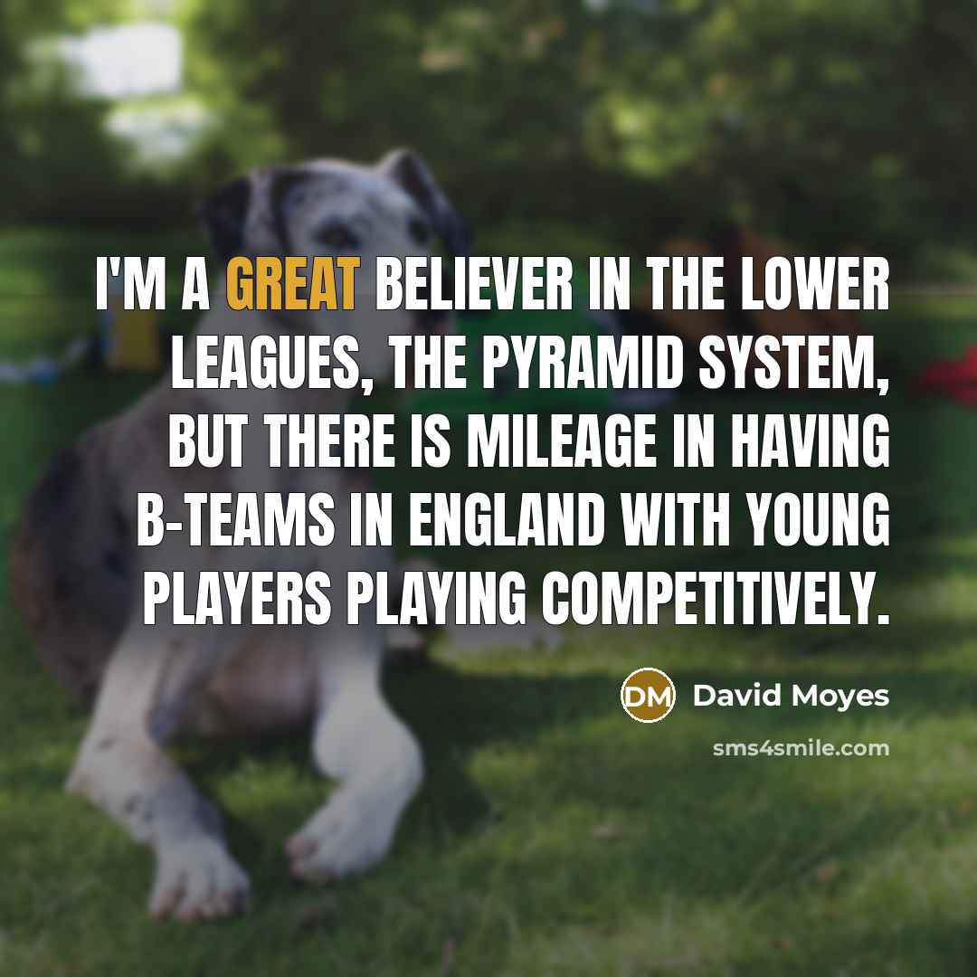 “I'm a great believer in the lower leagues, the pyramid…” quote by David Moyes