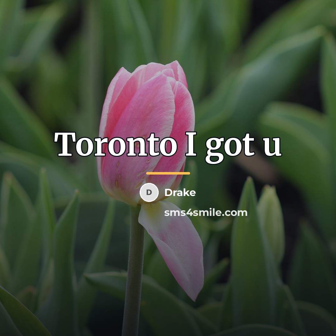 “Toronto I got u…” quote by Drake