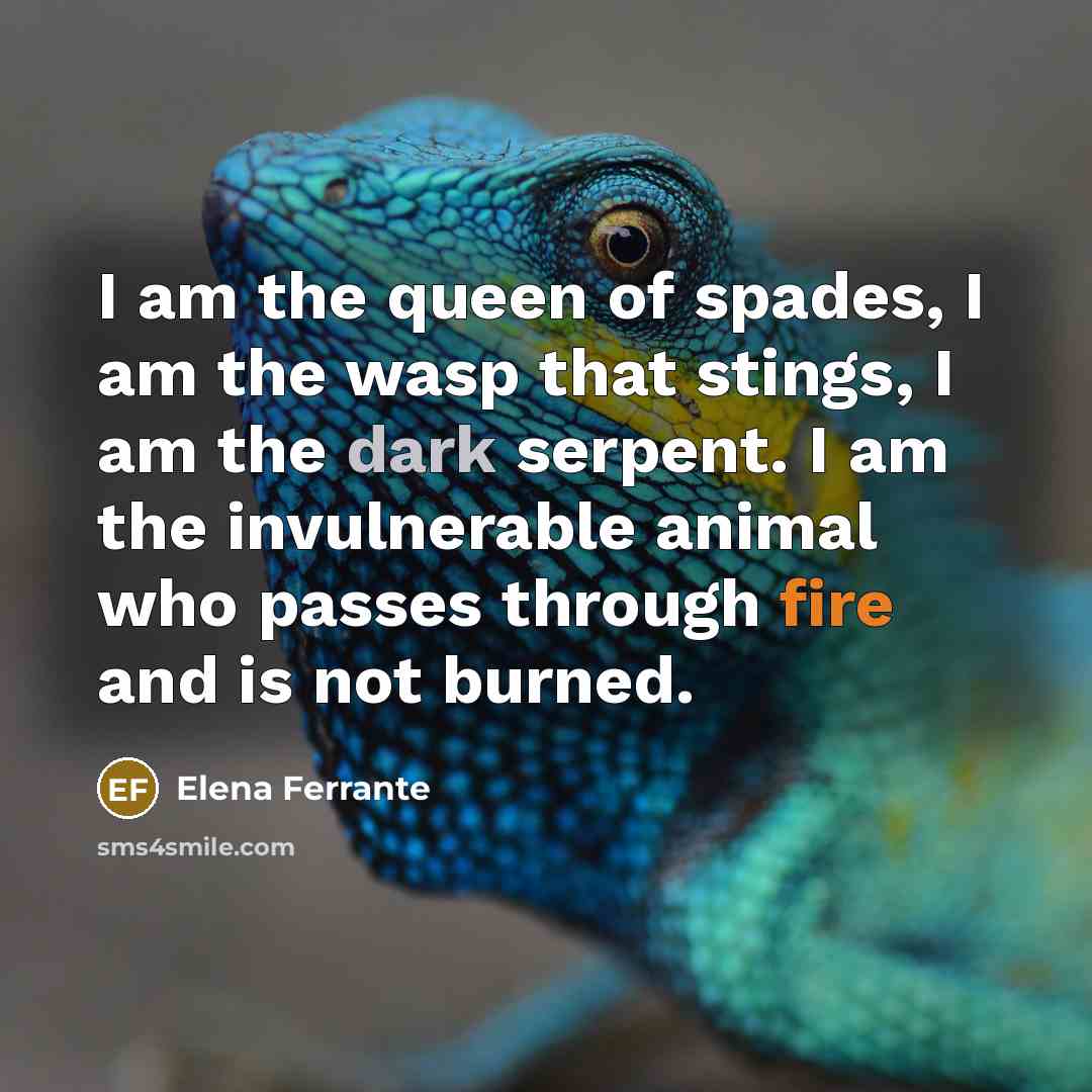 “I am the queen of spades, I am the wasp…” quote by Elena Ferrante