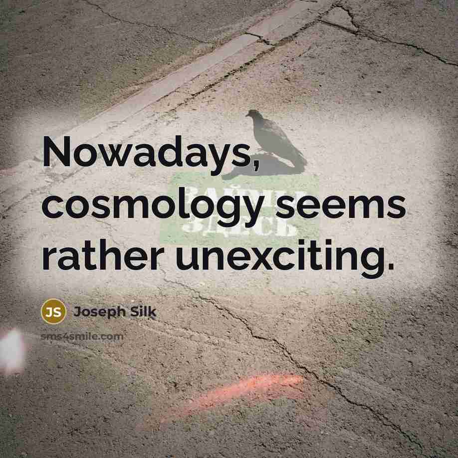 “Nowadays, cosmology seems rather unexciting.…” quote by Joseph Silk
