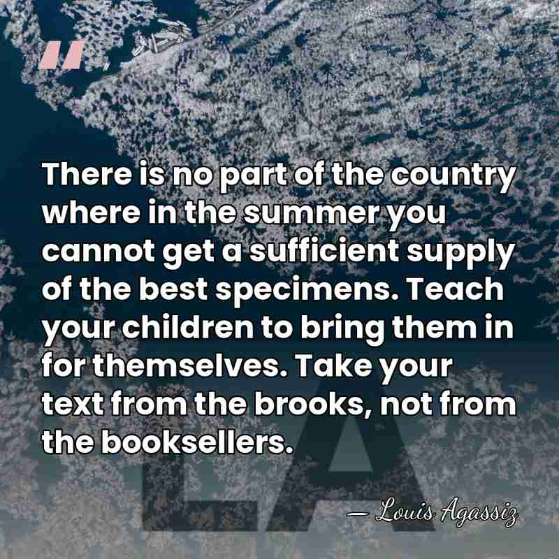 There is no part of the country where in the summer you&hellip; - Louis Agassiz