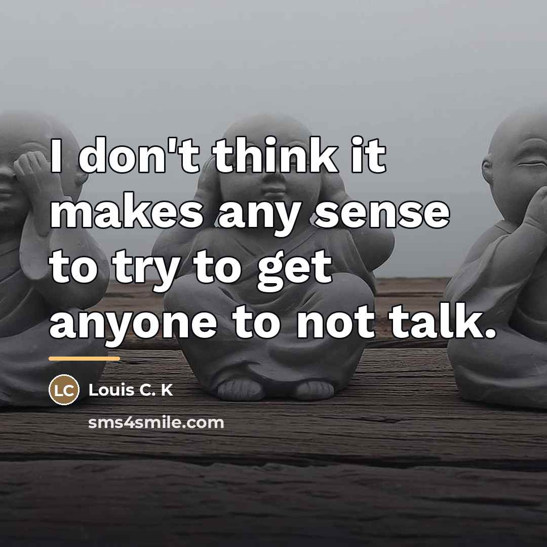 “I don't think it makes any sense to try to…” quote by Louis C. K