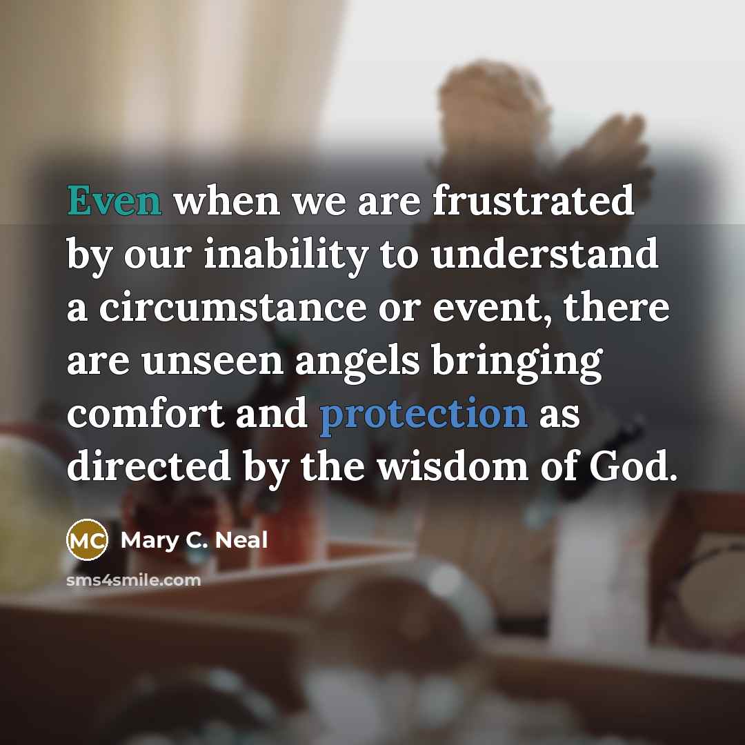 “Even when we are frustrated by our inability to understand…” quote by Mary C. Neal