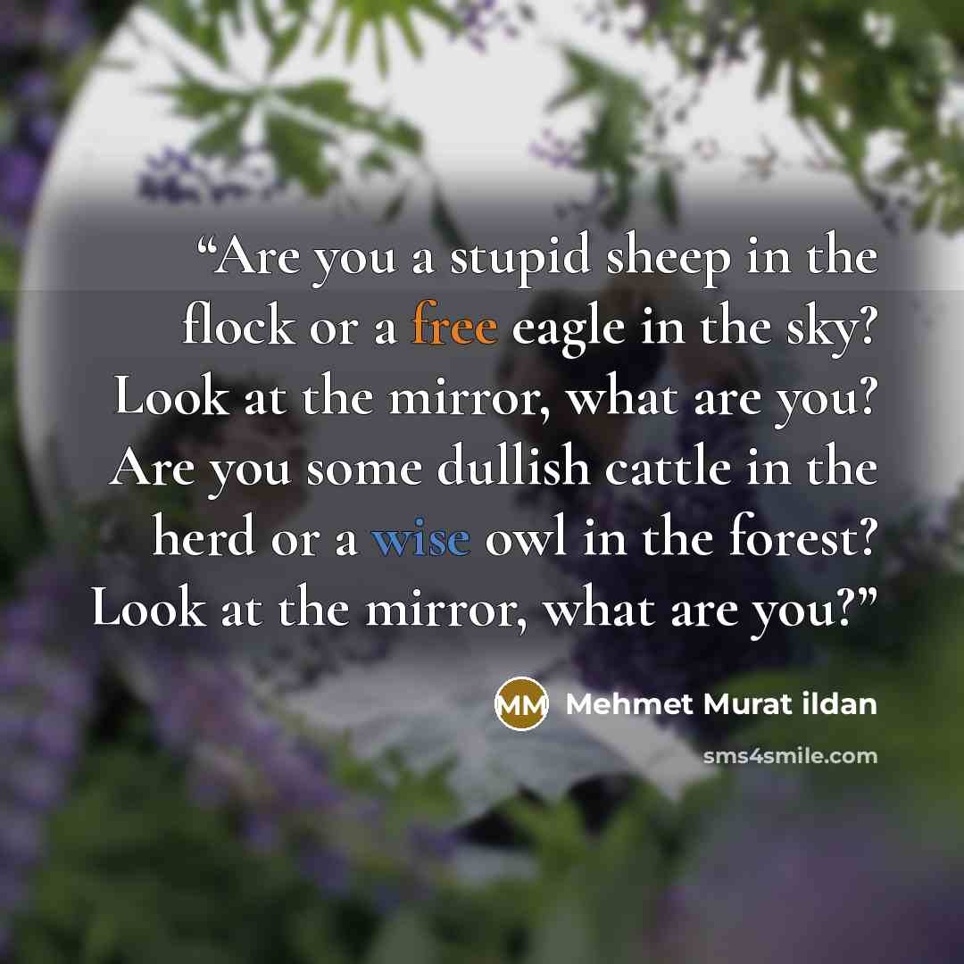 “Are you a stupid sheep in the flock or a free eagle in the sky? Look at the mirror, what are you? Are you some dullish cattle in the herd or a wise owl in the forest? Look at the mirror, what are you?” quote by Mehmet Murat ildan