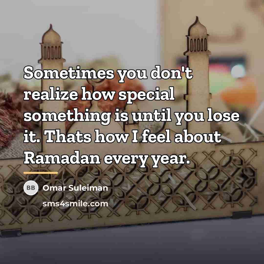 “Sometimes you don't realize how special something is until you…” quote by Omar Suleiman