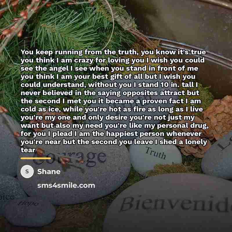 “You keep running from the truth, you know it's true…” quote by Shane