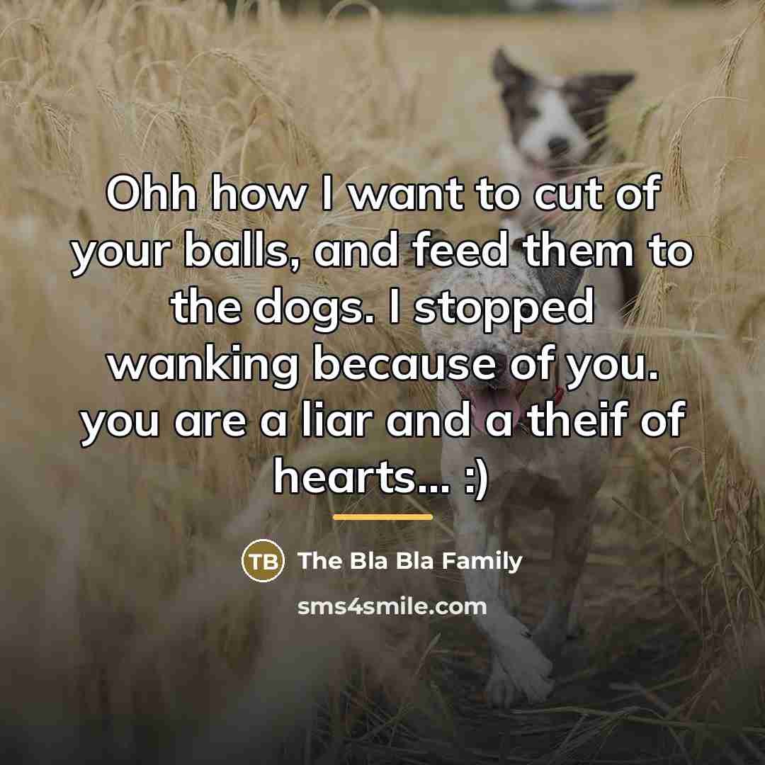 “Ohh how I want to cut of your balls, and…” quote by The Bla Bla Family