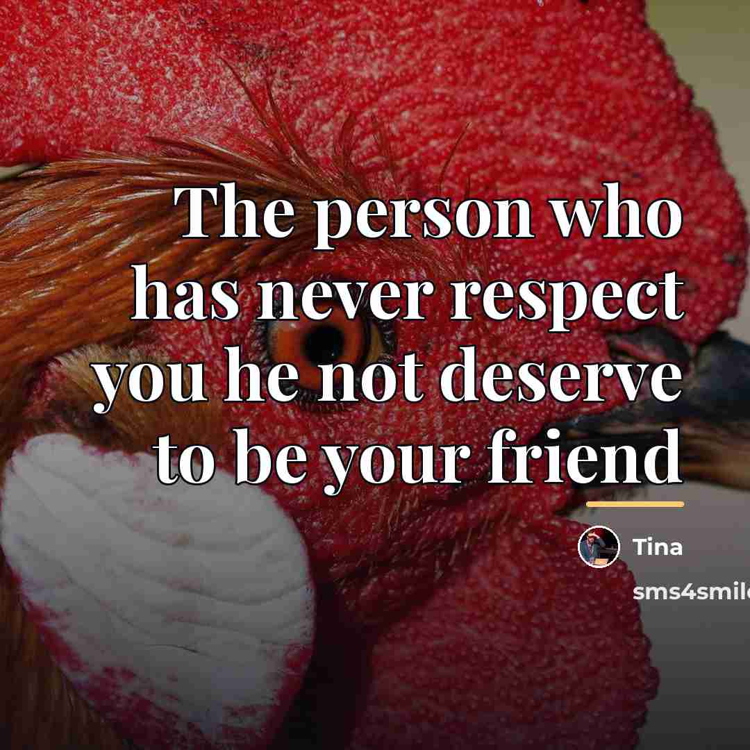 “The person who has never respect you he not deserve…” quote by Tina