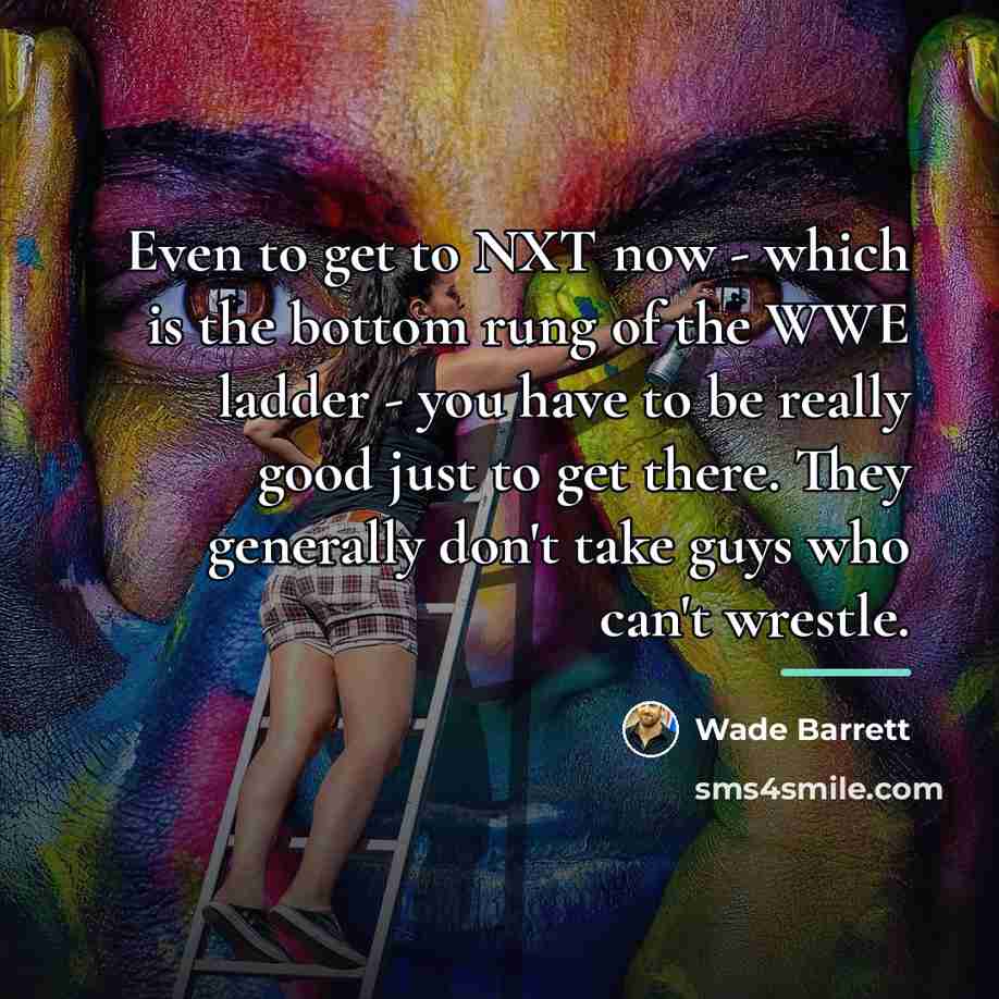“Even to get to NXT now - which is the…” quote by Wade Barrett
