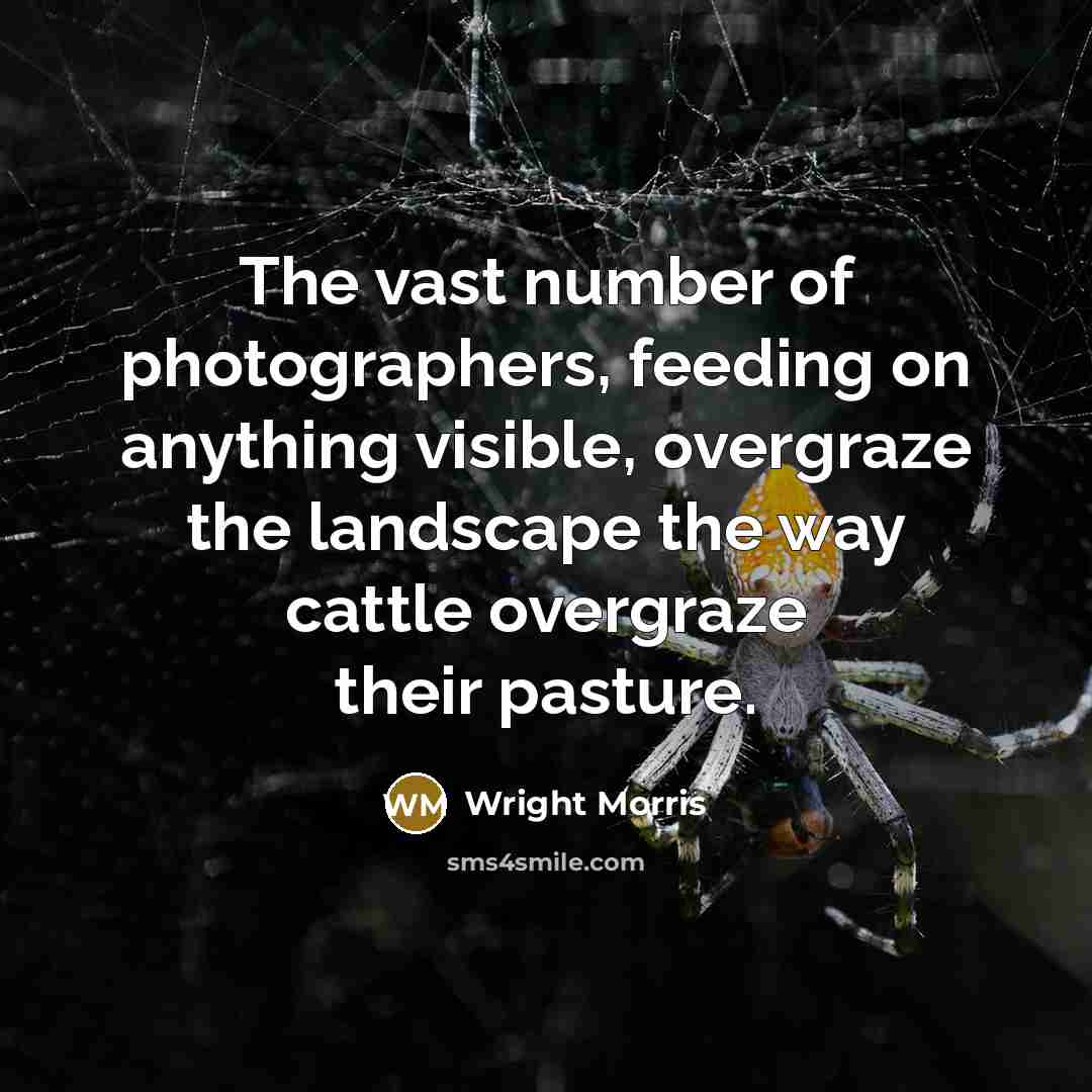 “The vast number of photographers, feeding on anything visible, overgraze…” quote by Wright Morris