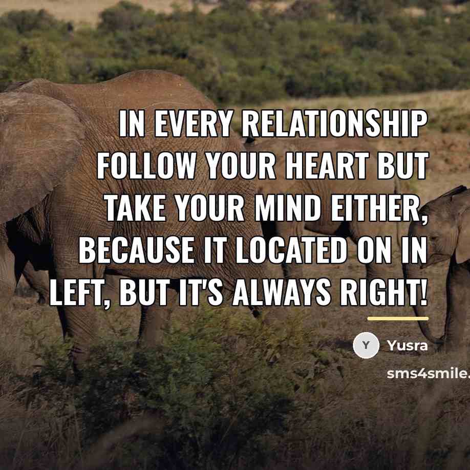 “In every relationship follow your heart but take your mind…” quote by Yusra