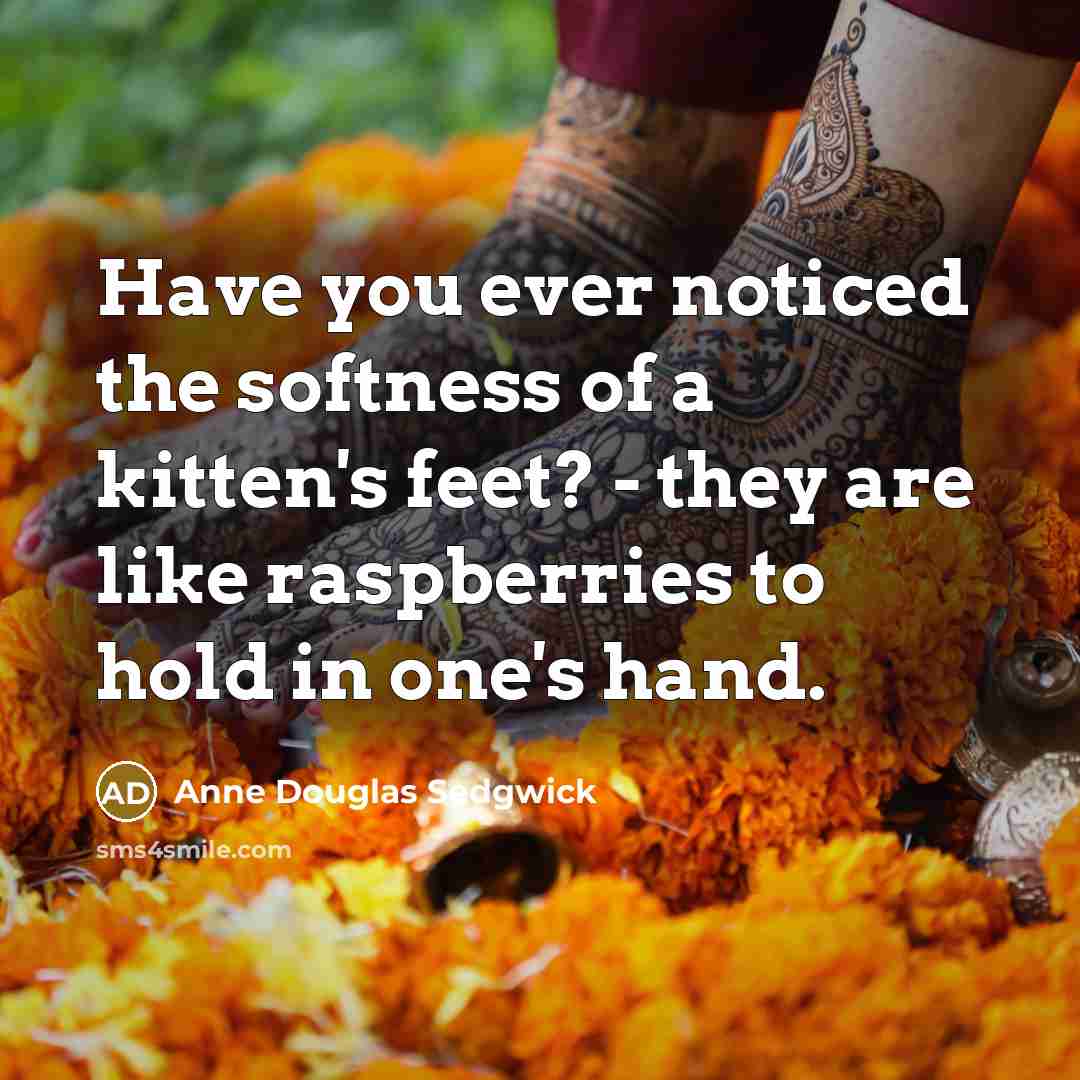 “Have you ever noticed the softness of a kitten's feet?…” quote by Anne Douglas Sedgwick