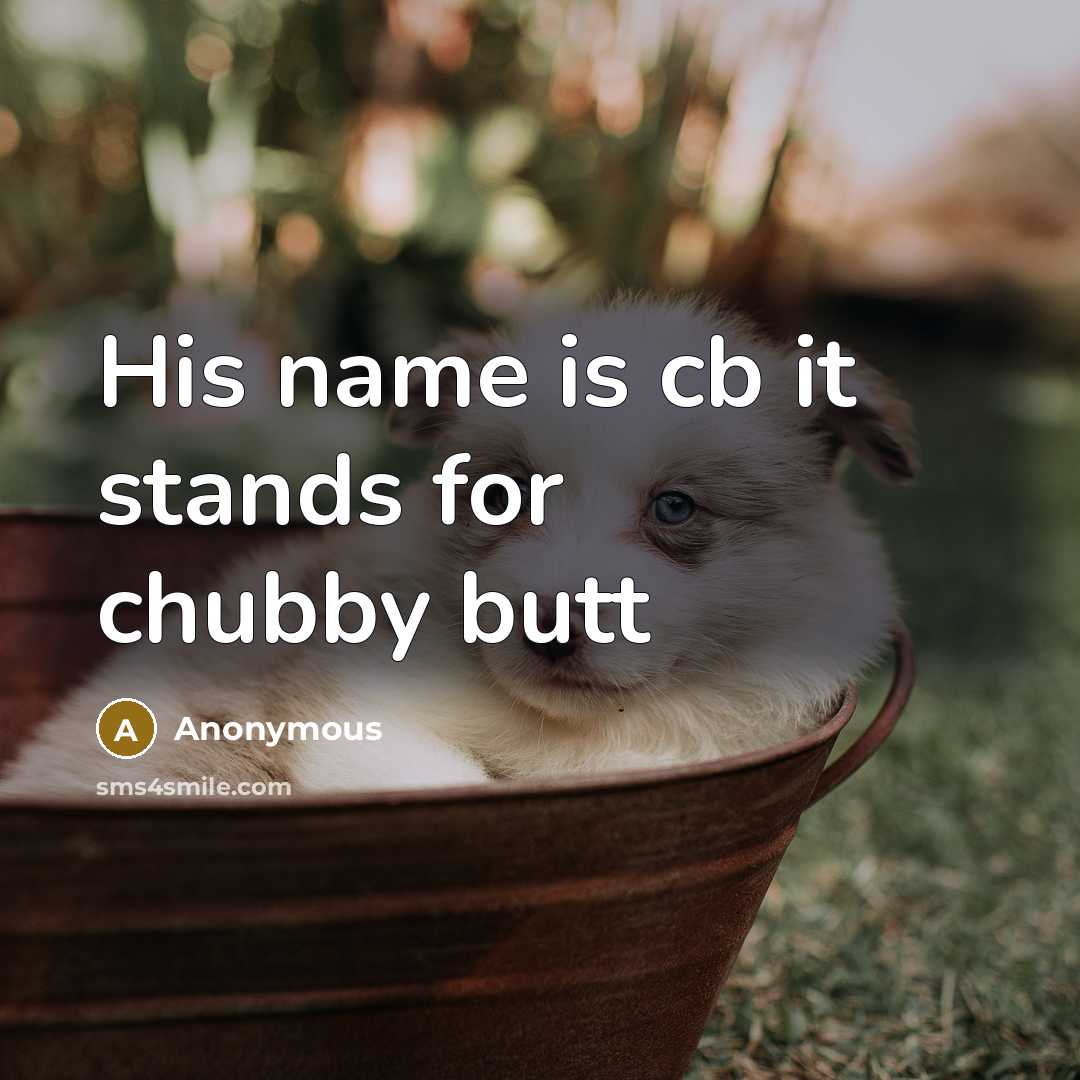“His name is cb it stands for chubby butt” quote by Anonymous