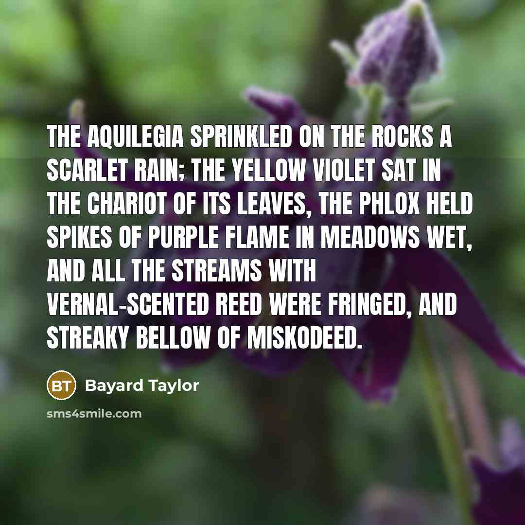 “The aquilegia sprinkled on the rocks A scarlet rain; the…” quote by Bayard Taylor