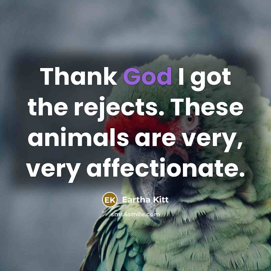 “Thank God I got the rejects. These animals are very,…” quote by Eartha Kitt