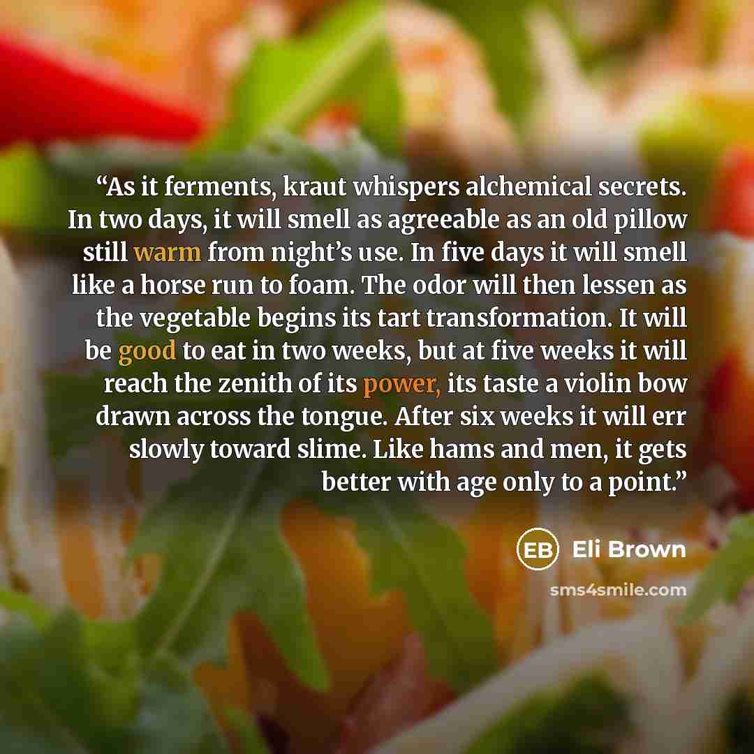 “As it ferments, kraut whispers alchemical secrets. In two days, it will smell as agreeable as an old pillow still warm from night’s use. In five days it will smell like a horse run to foam. The odor will then lessen as the vegetable begins its tart transformation. It will be good to eat in two…” quote by Eli Brown