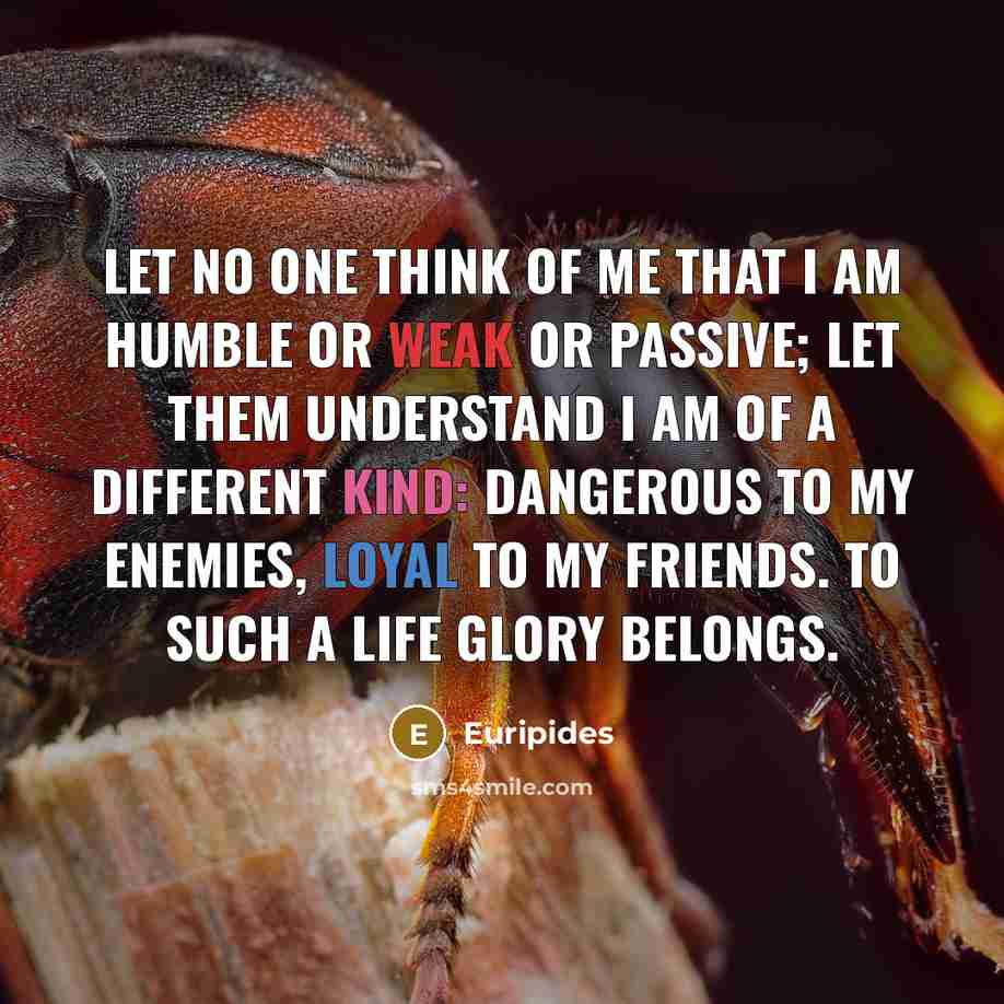 “Let no one think of me that I am humble…” quote by Euripides