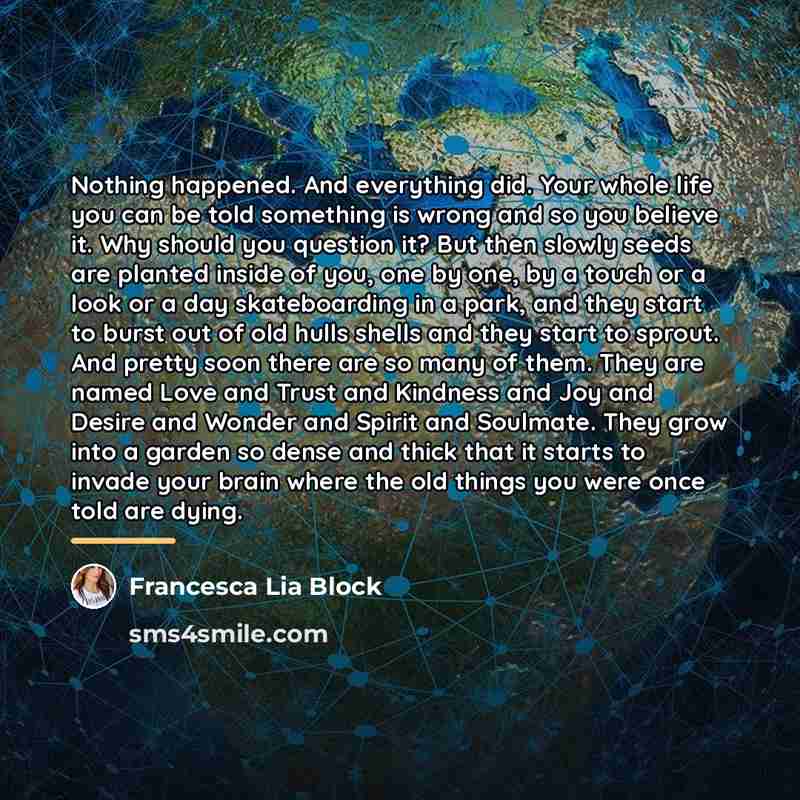 “Nothing happened. And everything did. Your whole life you can…” quote by Francesca Lia Block