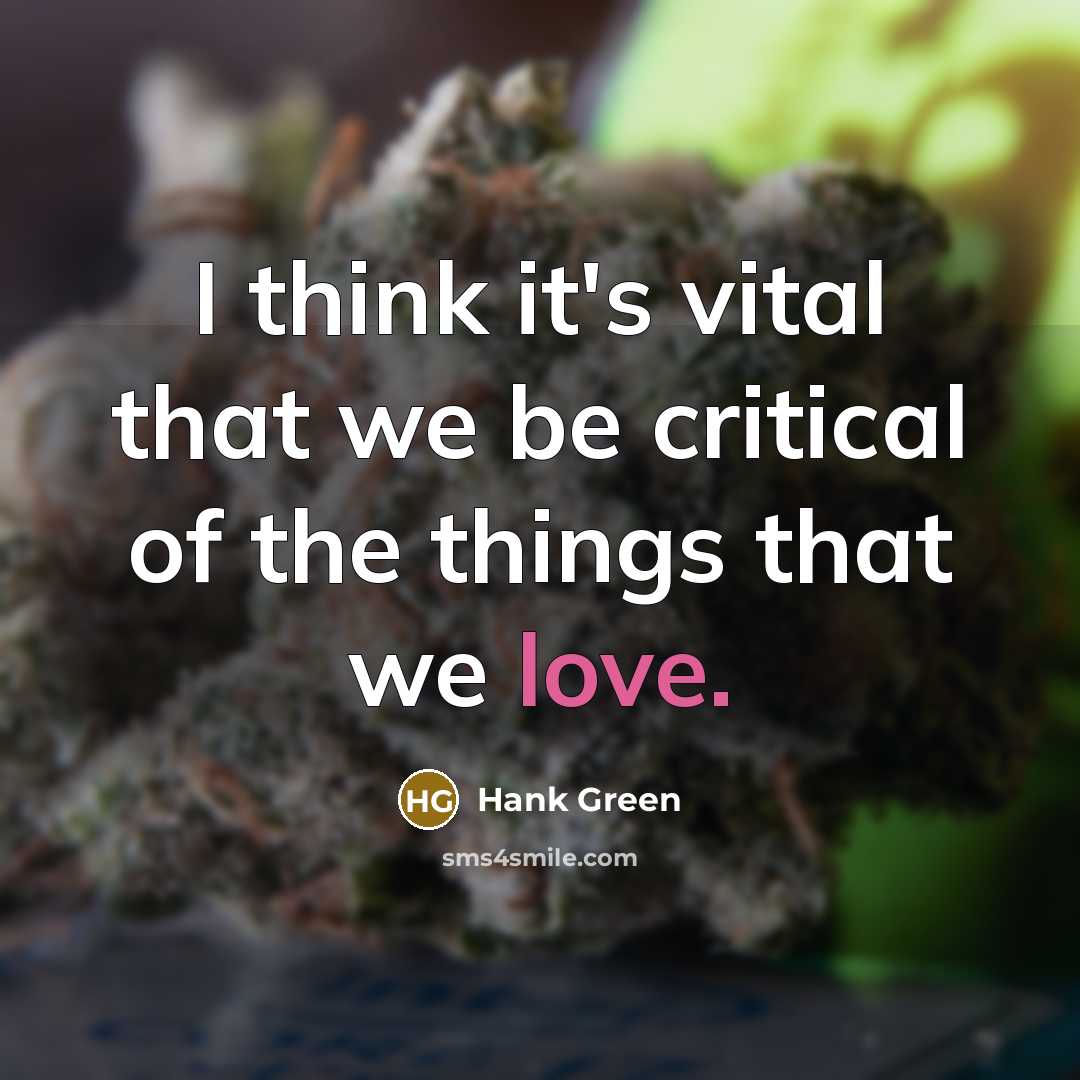 “I think it's vital that we be critical of the…” quote by Hank Green