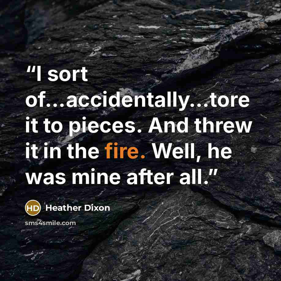 “I sort of…accidentally…tore it to pieces. And threw it in the fire. Well, he was mine after all.” quote by Heather Dixon