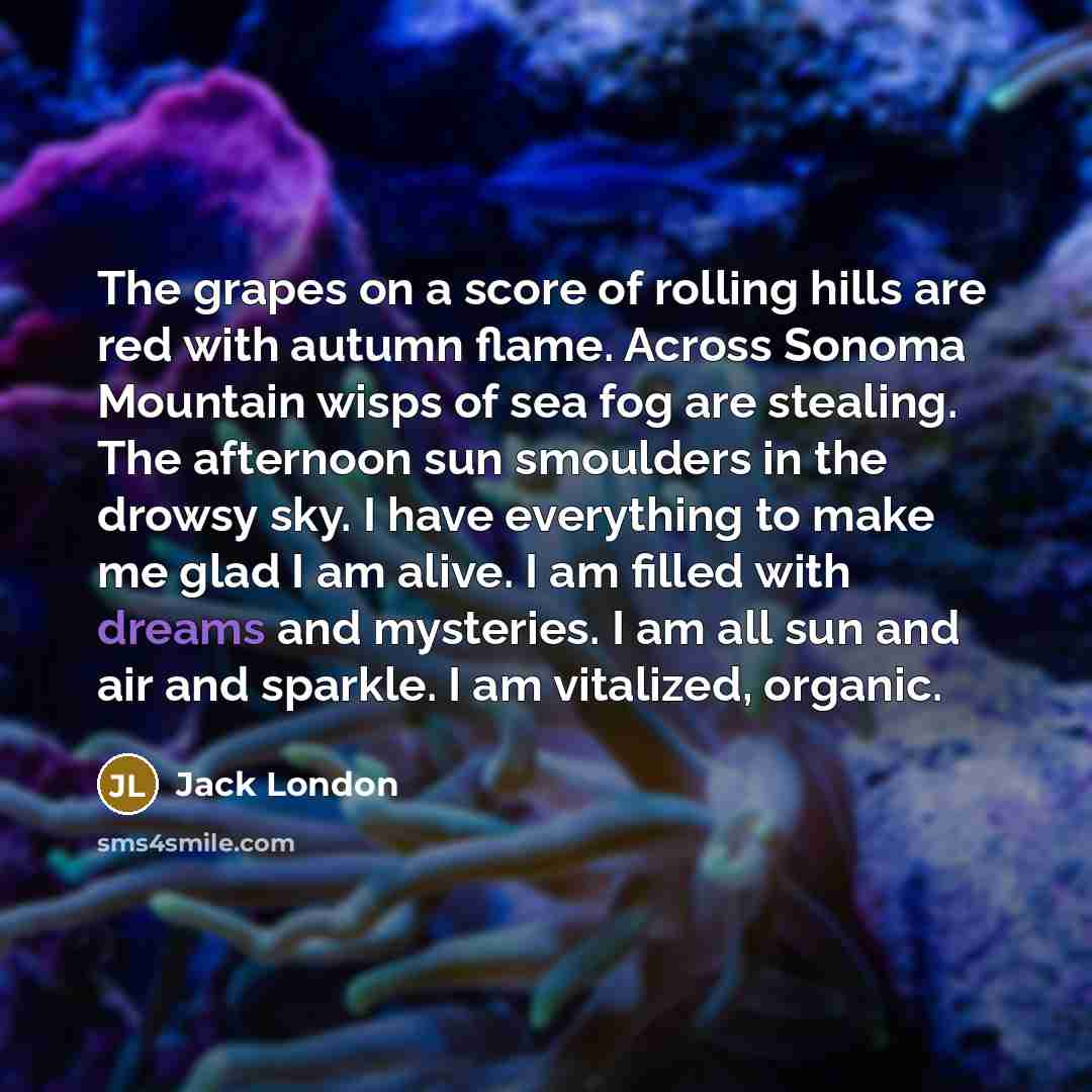 “The grapes on a score of rolling hills are red…” quote by Jack London