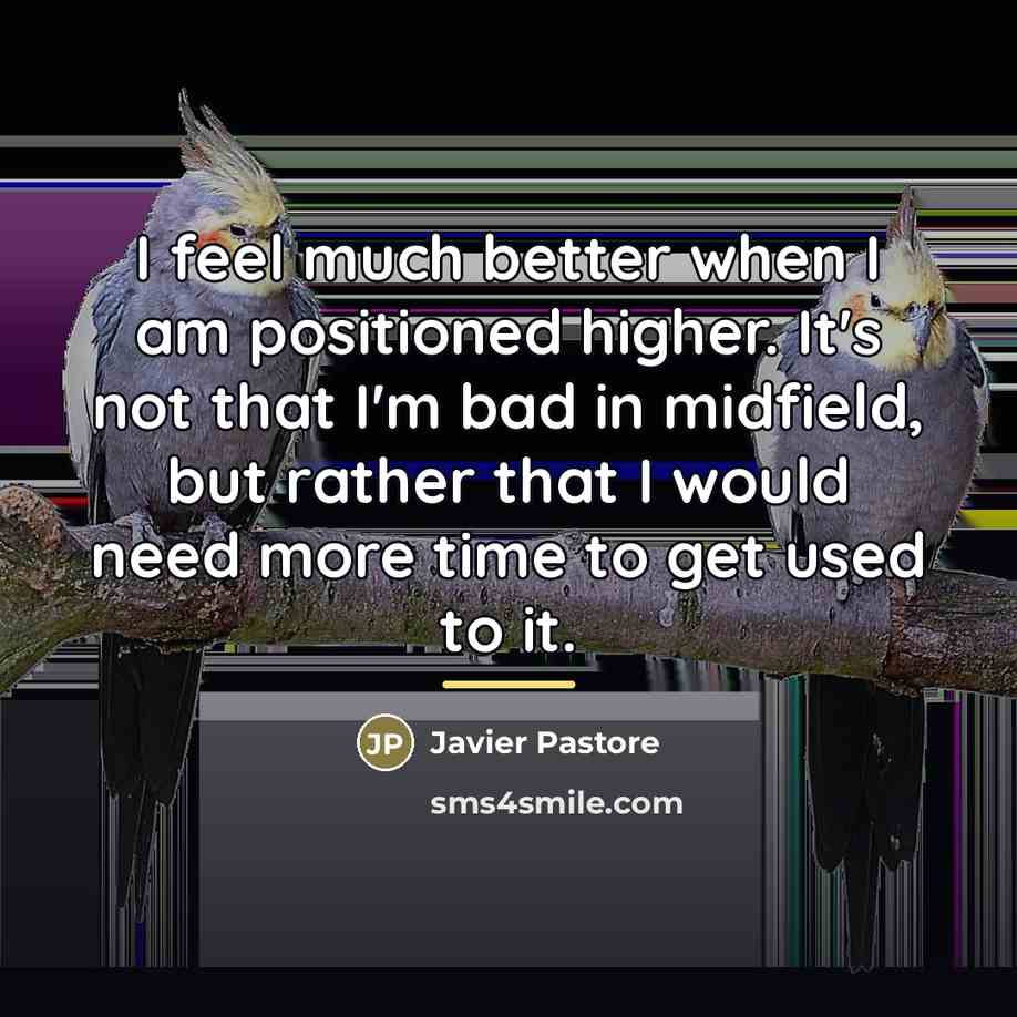 “I feel much better when I am positioned higher. It's…” quote by Javier Pastore